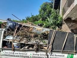 Best Dumpster Rental Services in Hagerstown, MD